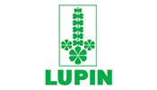 Lupin